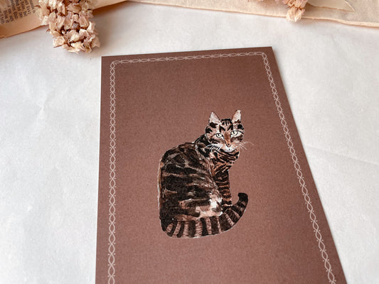 Postkarte Katze