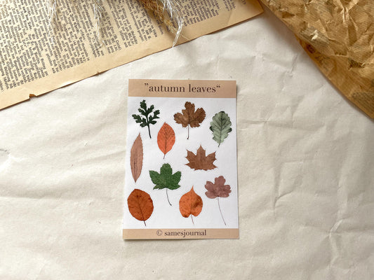 Feuille d'autocollants « Feuilles d'automne », autocollants, fleurs, bourgeons - samesjournal