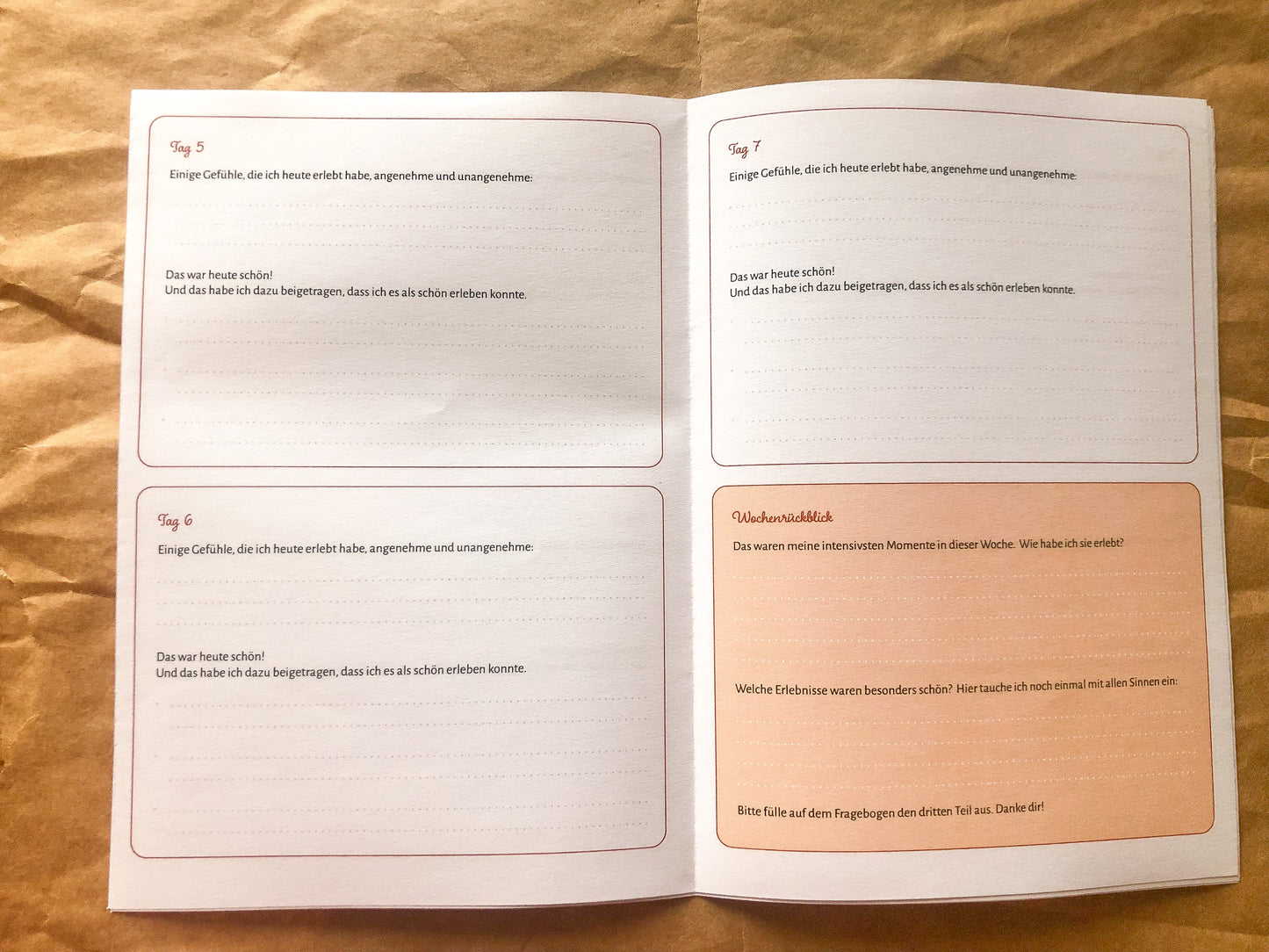 Cahier d'exercices sur la perception émotionnelle