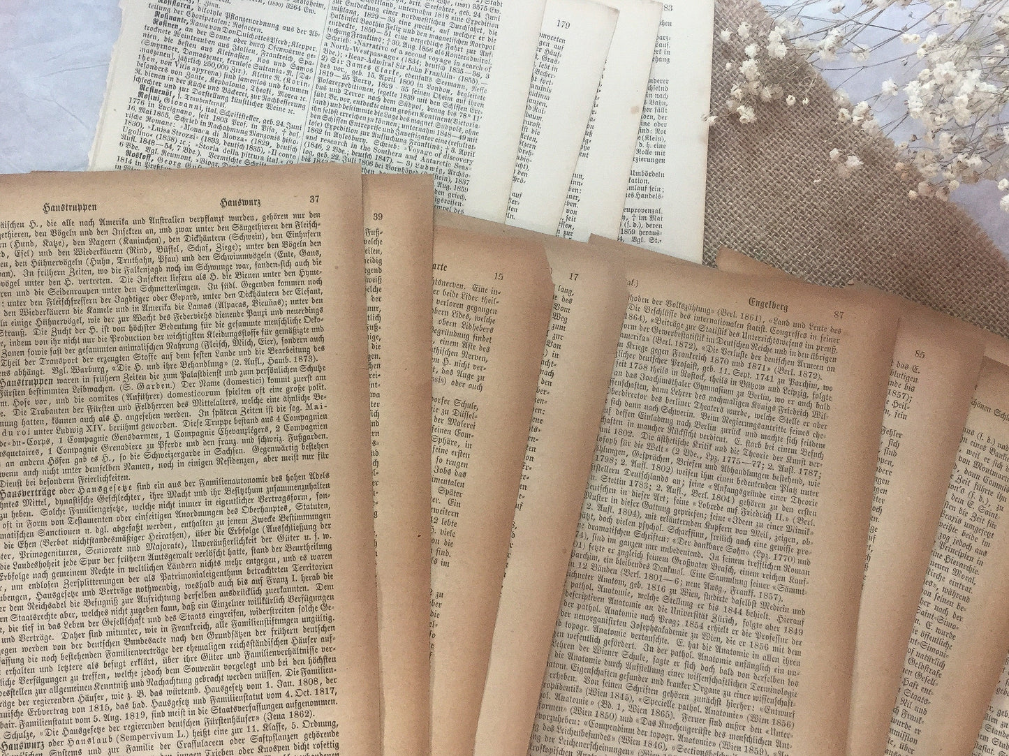 Very Vintage (1870-1890) Buchseiten- samesjournal