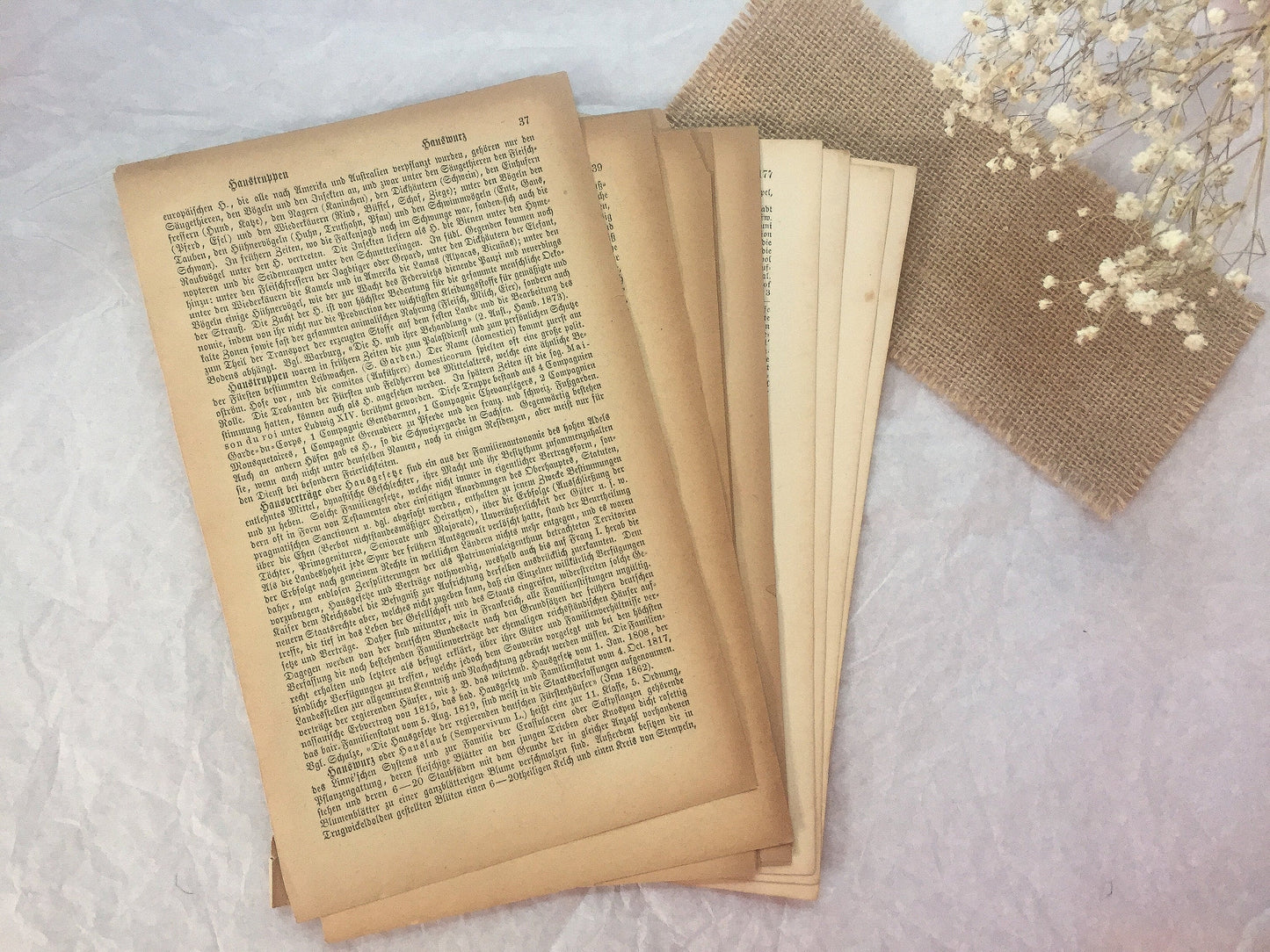 Very Vintage (1870-1890) Buchseiten- samesjournal
