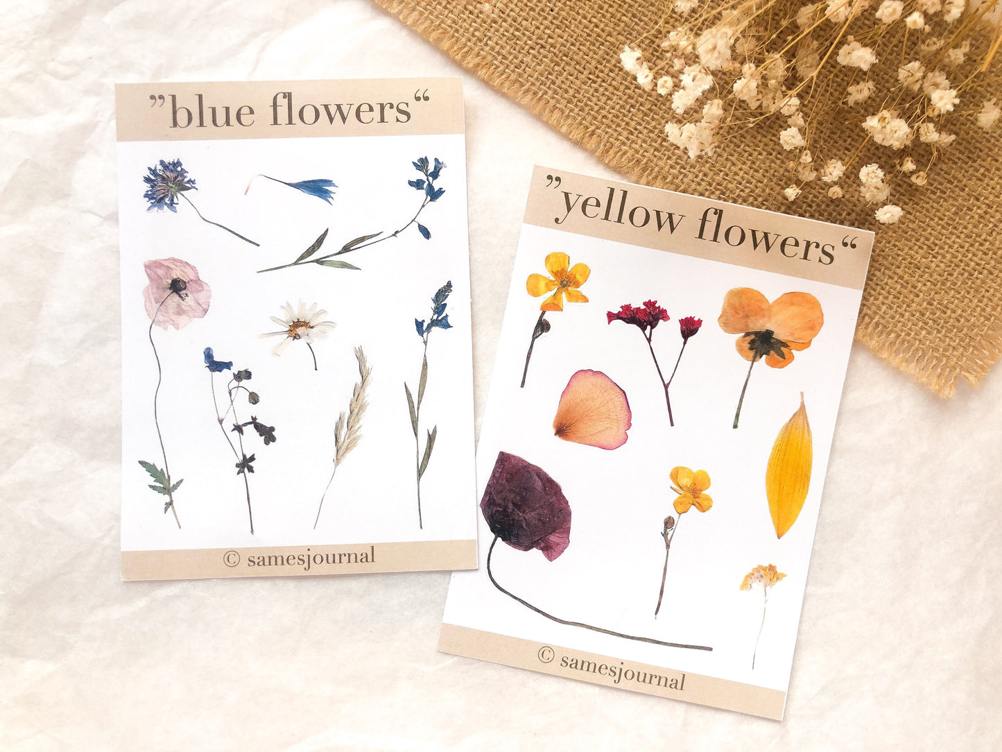 Blumen Sticker, blau und gelb, Aufkleber, Blumen, Blüten -samesjournal