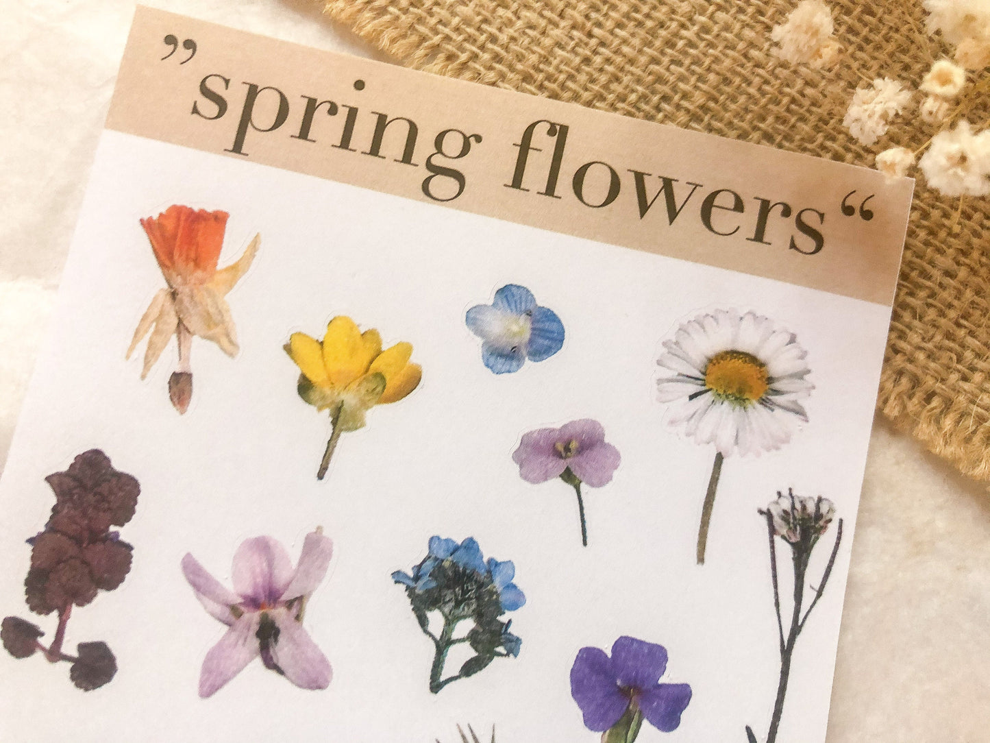 Frühlings Blumen Sticker, Aufkleber, Blumen, Blüten -samesjournal