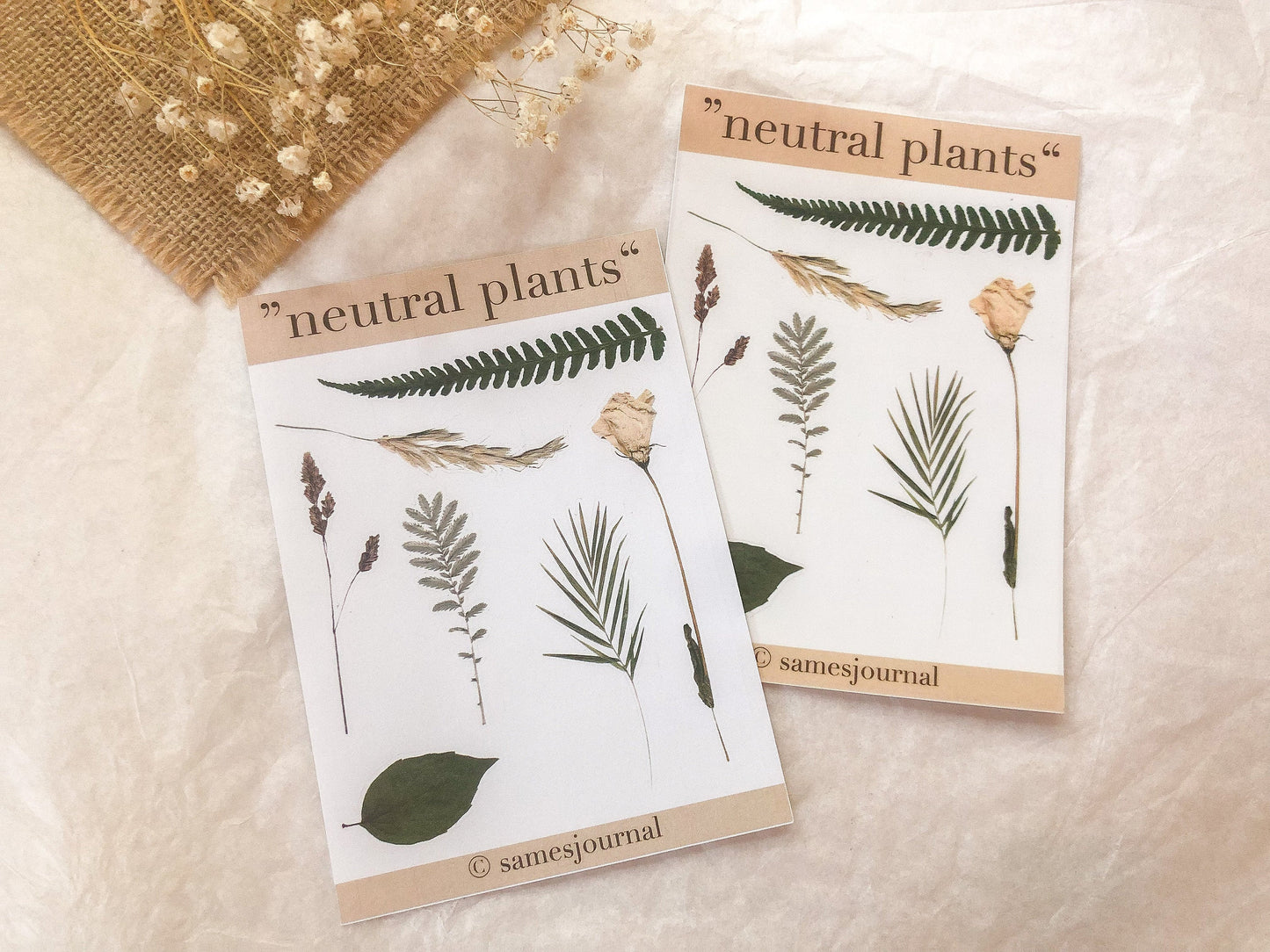 Blumen Sticker, natur, braun grün, transparent, Aufkleber, Blumen, Blüten -samesjournal