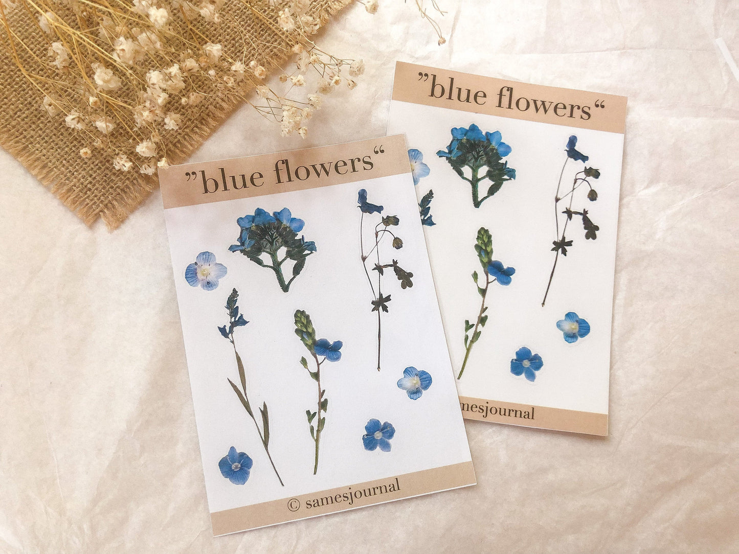 Blumen Sticker, blau, transparent, Aufkleber, Blumen, Blüten -samesjournal
