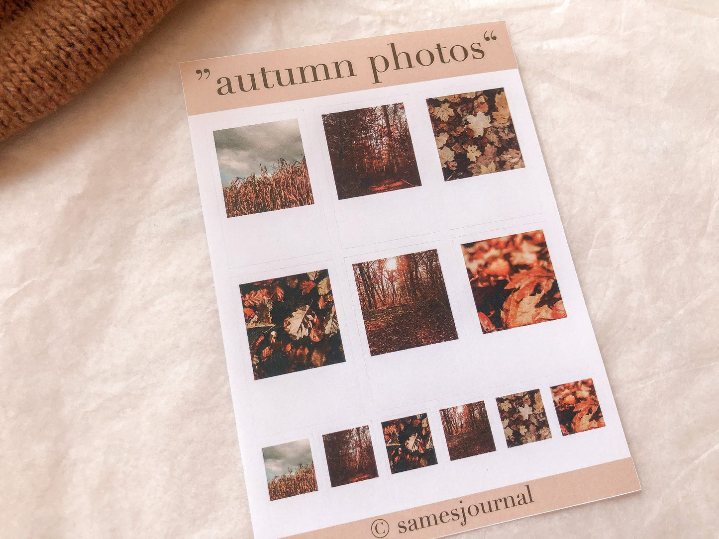 Herbst Foto Sticker, Aufkleber, Herbst, Pilze, Wald -samesjournal