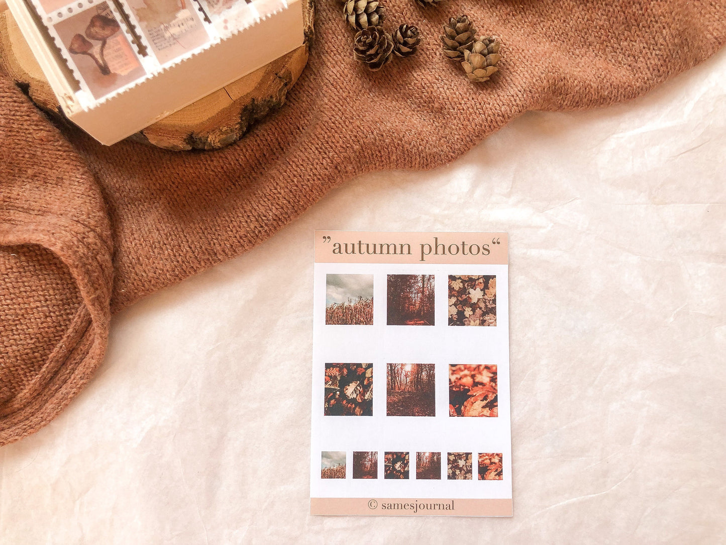 Herbst Foto Sticker, Aufkleber, Herbst, Pilze, Wald -samesjournal