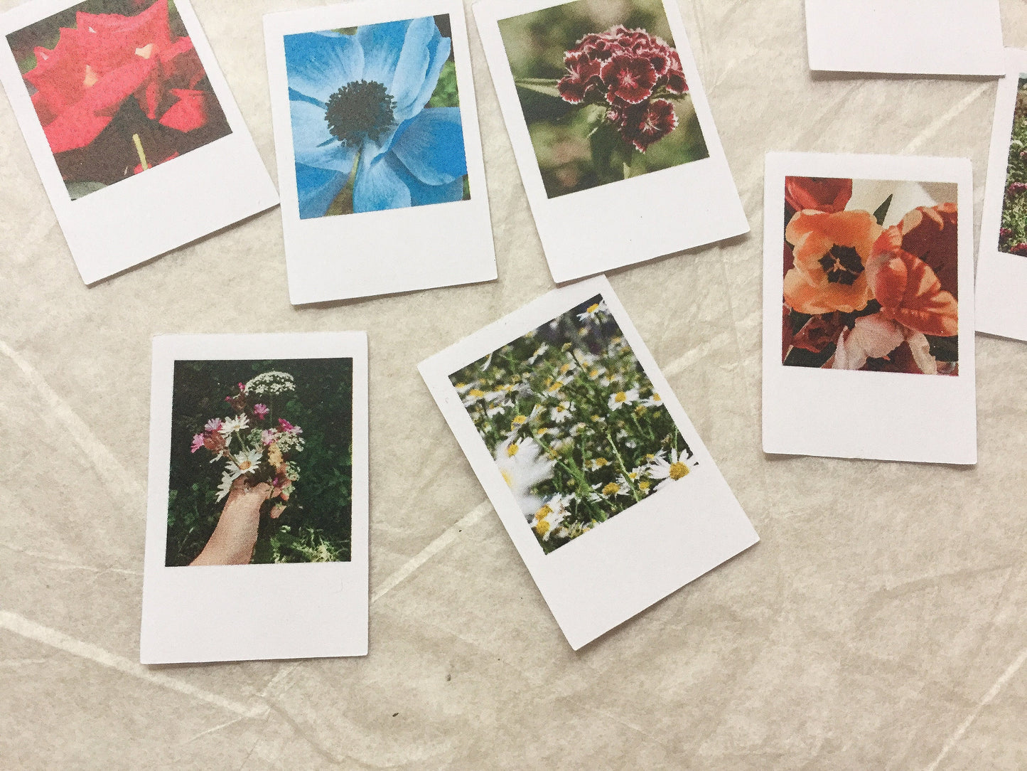 I Foto Sticker Blumen, Aufkleber, Blüten, Sofortbild, samesjournal
