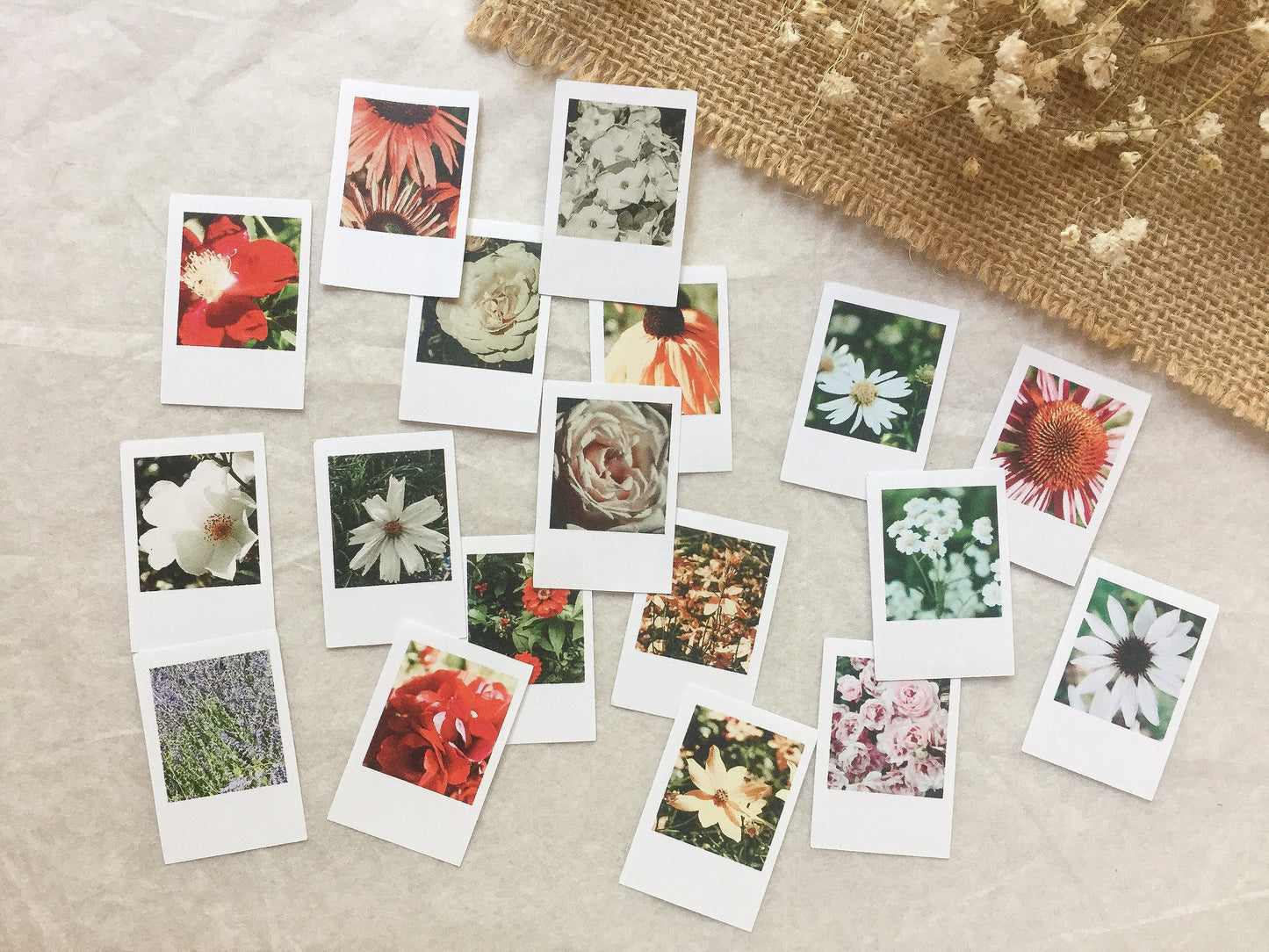 II Foto Sticker Blumen, Aufkleber, Blüten, Sofortbild, samesjournal