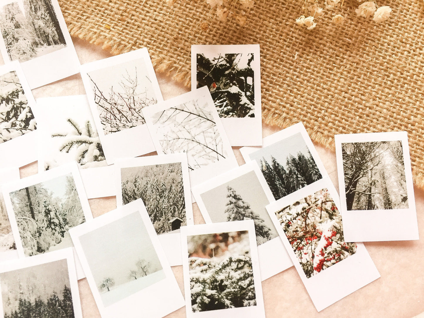 Winter Foto Sticker, Aufkleber, Winterliche Fotos, samesjournal