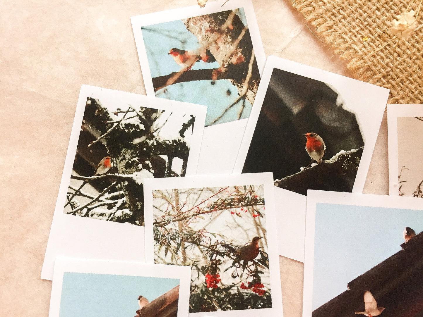 II Vogel Foto Sticker, Aufkleber, Sofortbild, Bilder, Vögel, samesjournal
