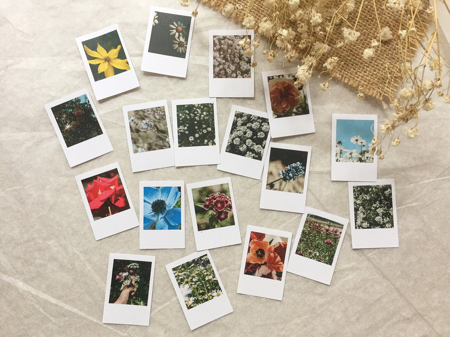 I Foto Sticker Blumen, Aufkleber, Blüten, Sofortbild, samesjournal
