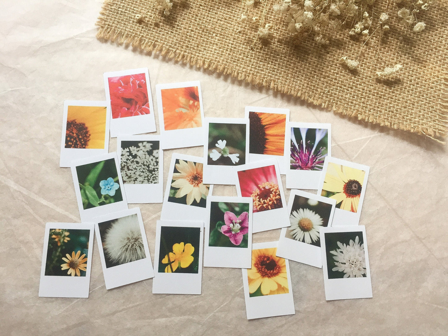 III Foto Sticker Blumen, Aufkleber, Blüten, Sofortbild, samesjournal