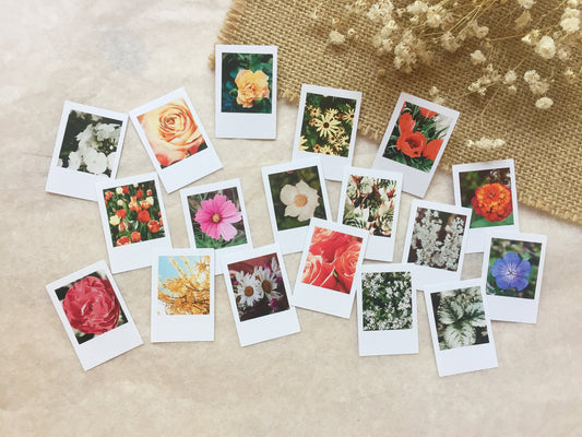 IV Photo Sticker Flowers, Stickers, Blossoms, Instant Photo, samesjournal