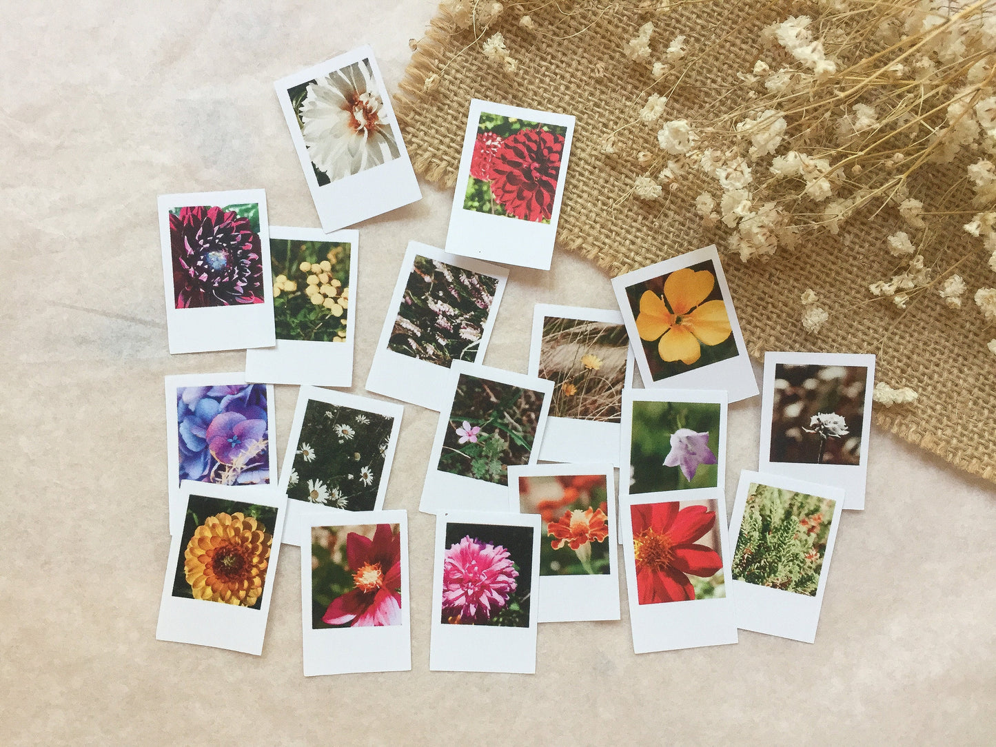 V Foto Sticker Blumen, Aufkleber, Blüten, Sofortbild, samesjournal