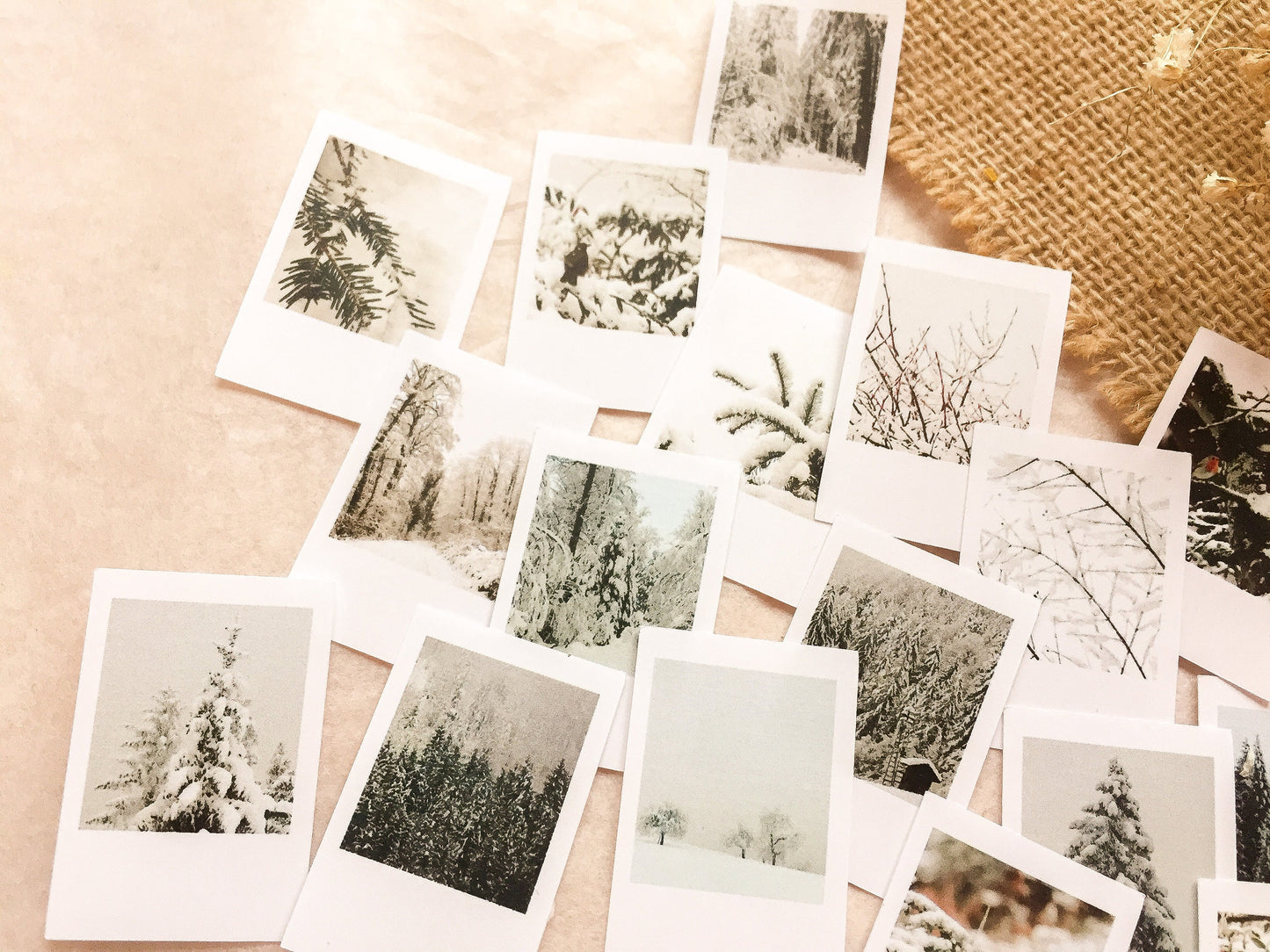 Winter Foto Sticker, Aufkleber, Winterliche Fotos, samesjournal