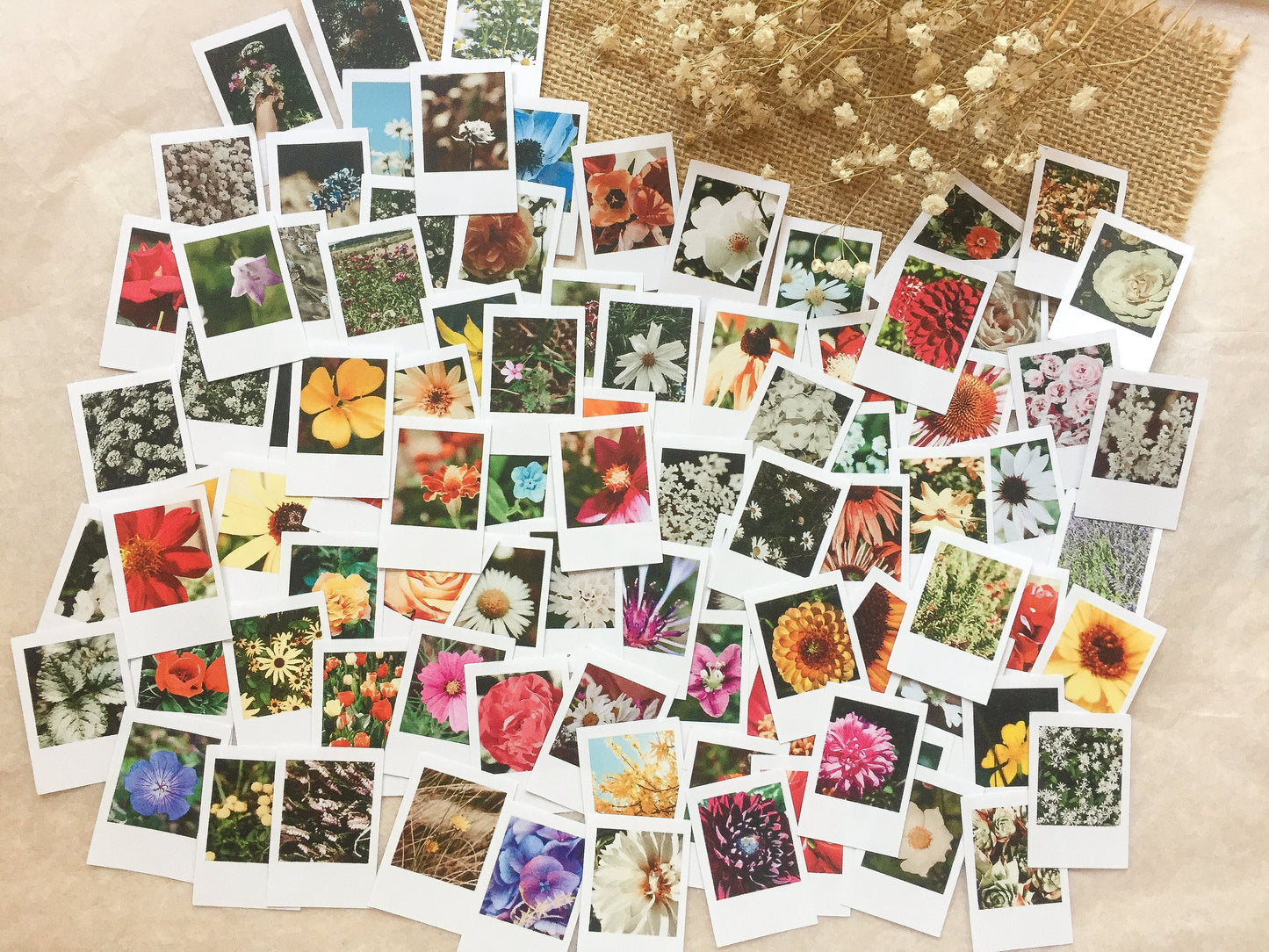Großes Foto Blumen Sticker Set, Sofortbild - samesjournal
