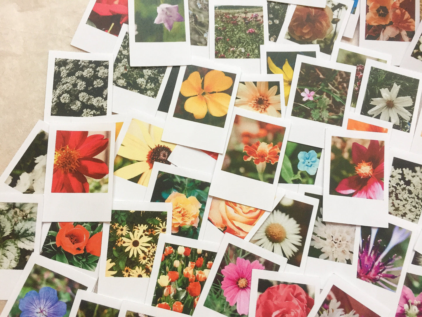 Großes Foto Blumen Sticker Set, Sofortbild - samesjournal