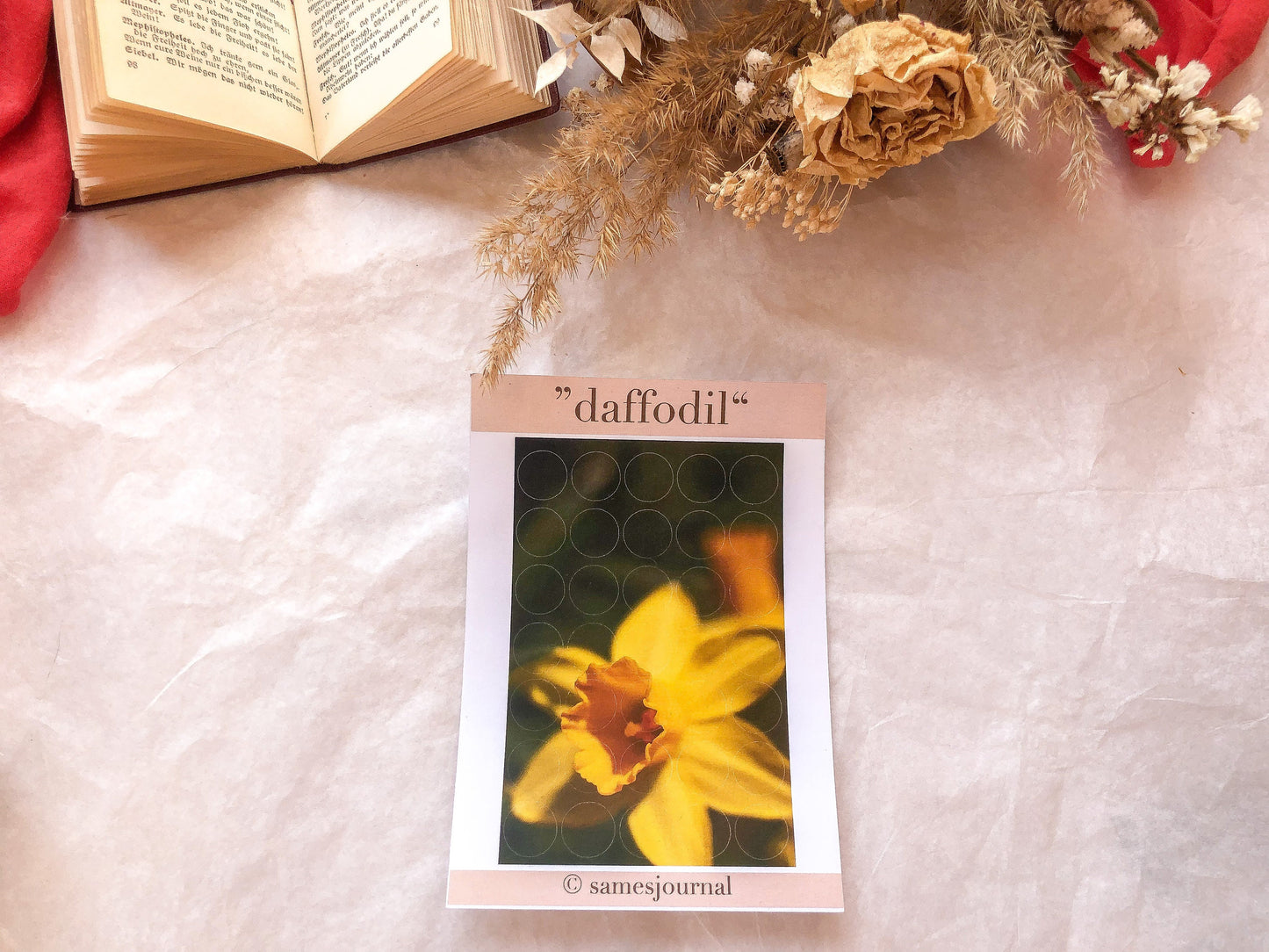 IV Frühlingsblume, Fotografie, Kreise, Stickersheet, Sticker, Aufkleber, Narzisse - samesjournal