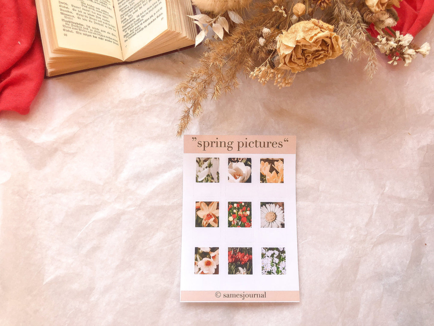 Frühlingsblume, Fotografien, Blüten, Frühling, Stickersheet, Sticker, Aufkleber, Narzisse, Tulpe - samesjournal