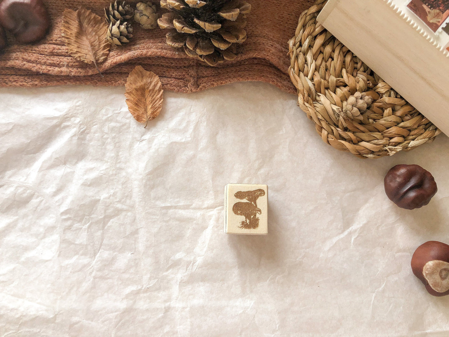 IV Holzstempel Pilz, Herbst, Stempel, Laserstempel, samesjournal
