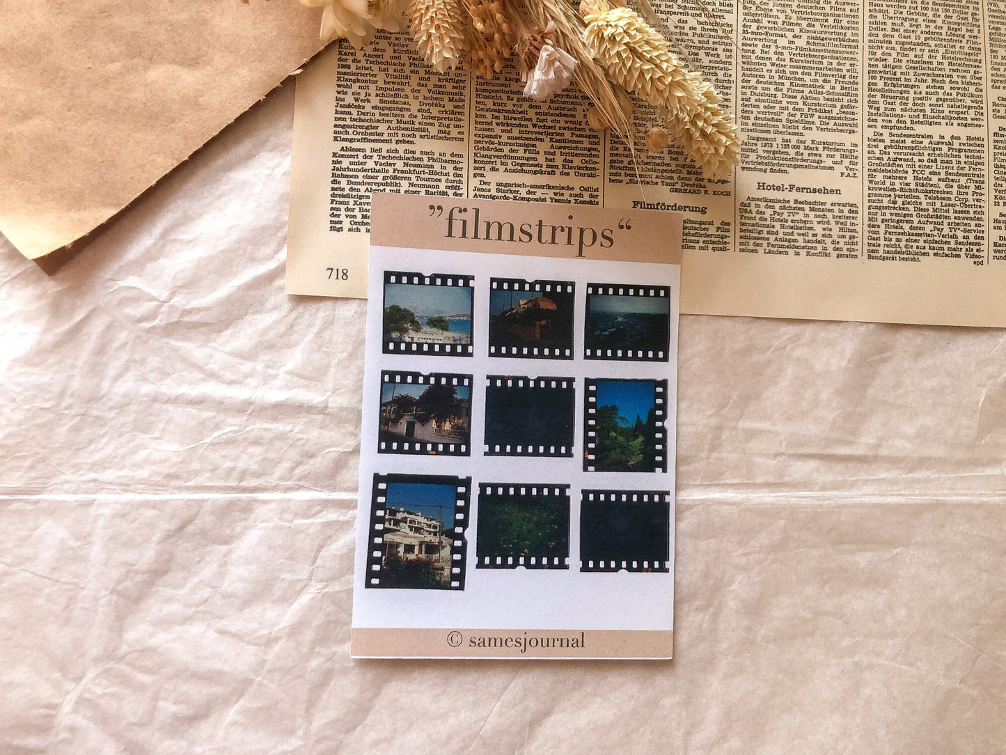 Film Sticker, Dias, vintage Aufkleber -samesjournal