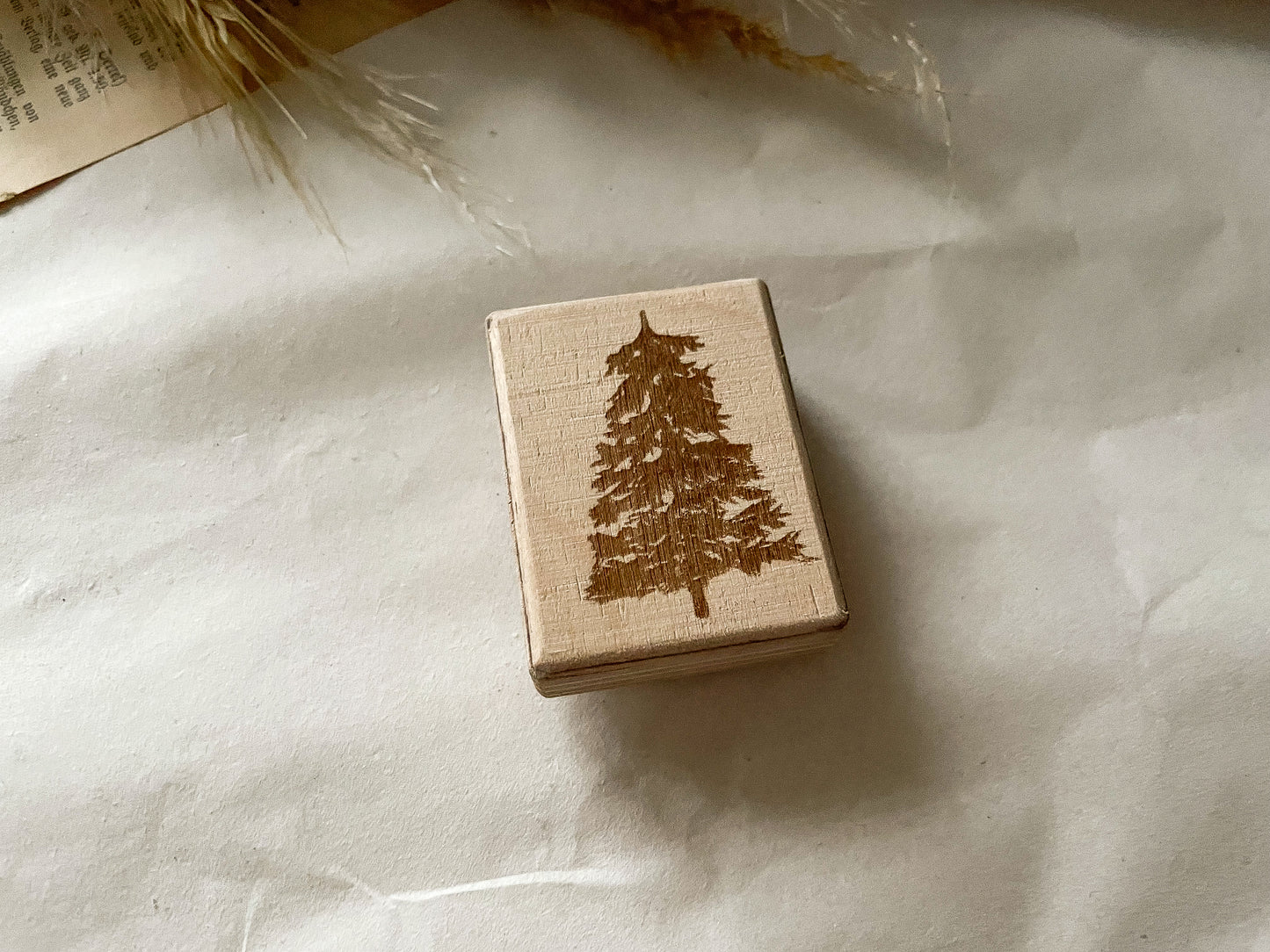 Holzstempel Tanne, Stempel, Laserstempel, samesjournal