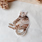Katze Sticker
