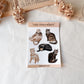 Katzen Stickersheet