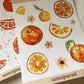 Orangen B-Ware Sticker Set