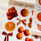 Orangen B-Ware Sticker Set