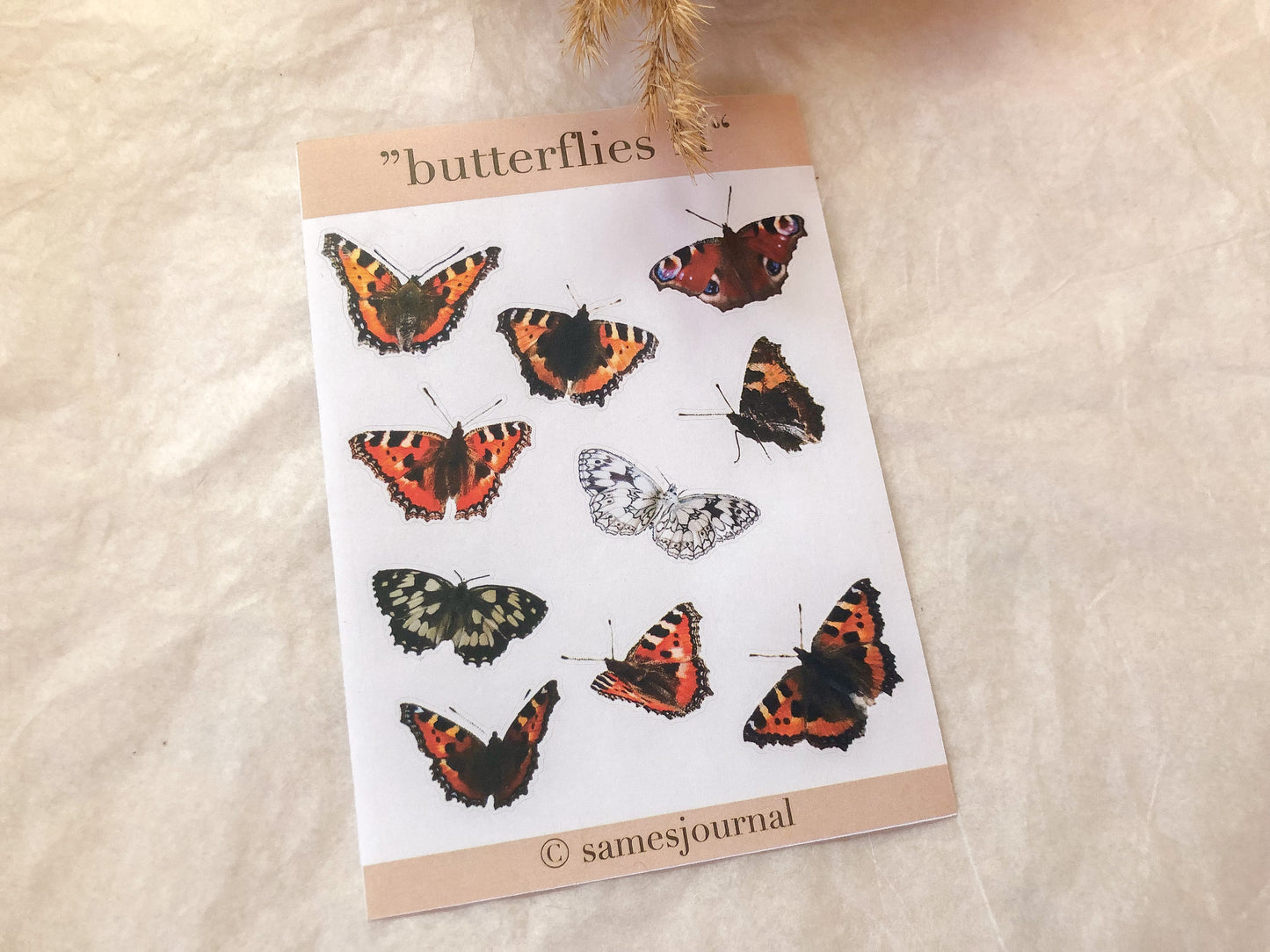 Schmetterling Sticker, Aufkleber  -samesjournal