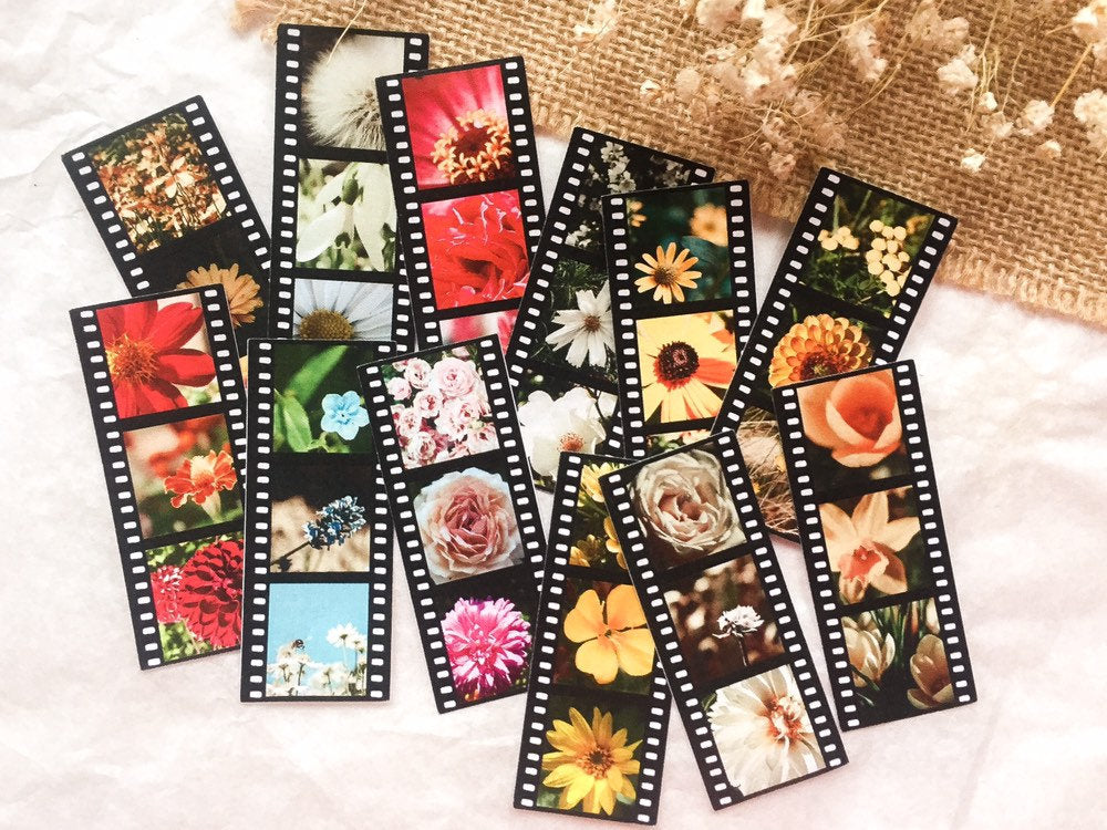 Filmstreifen mit Blumen-Fotografien, Dia Streifen, Film, Blumen Bilder - samesjournal