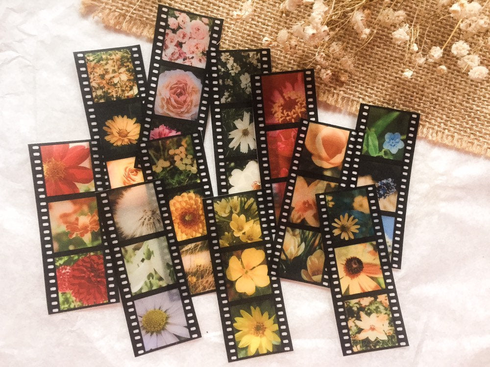 Filmstreifen mit Blumen-Fotografien, Dia Streifen, Film, Blumen Bilder - samesjournal