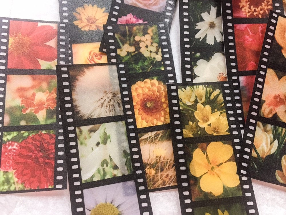 Filmstreifen mit Blumen-Fotografien, Dia Streifen, Film, Blumen Bilder - samesjournal