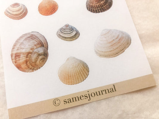 Autocollants coquillages, autocollants, mer, coquillage - samesjournal