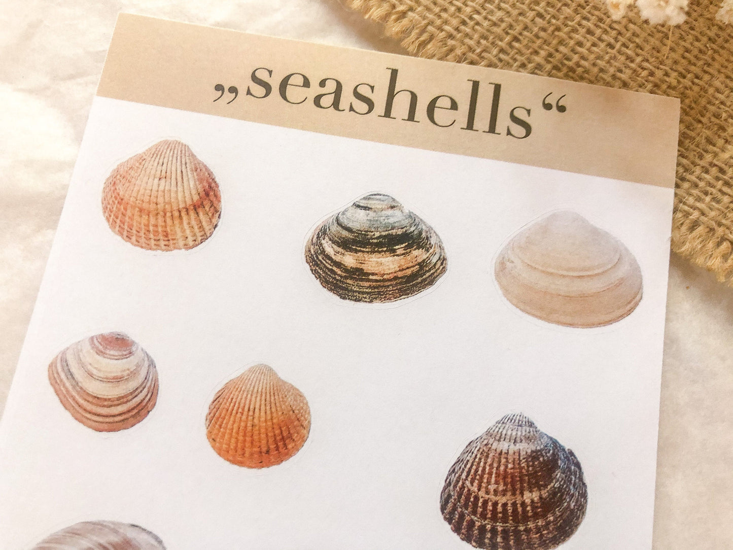 Autocollants coquillages, autocollants, mer, coquillage - samesjournal