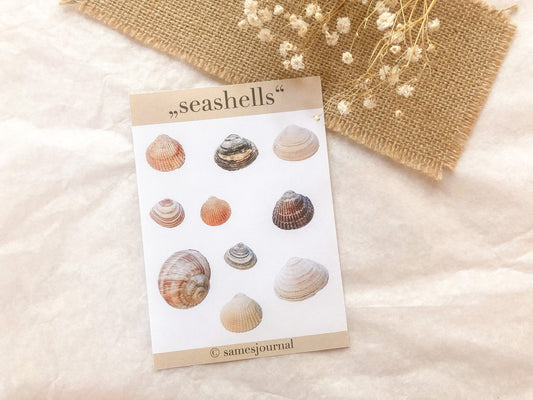 Autocollants coquillages, autocollants, mer, coquillage - samesjournal