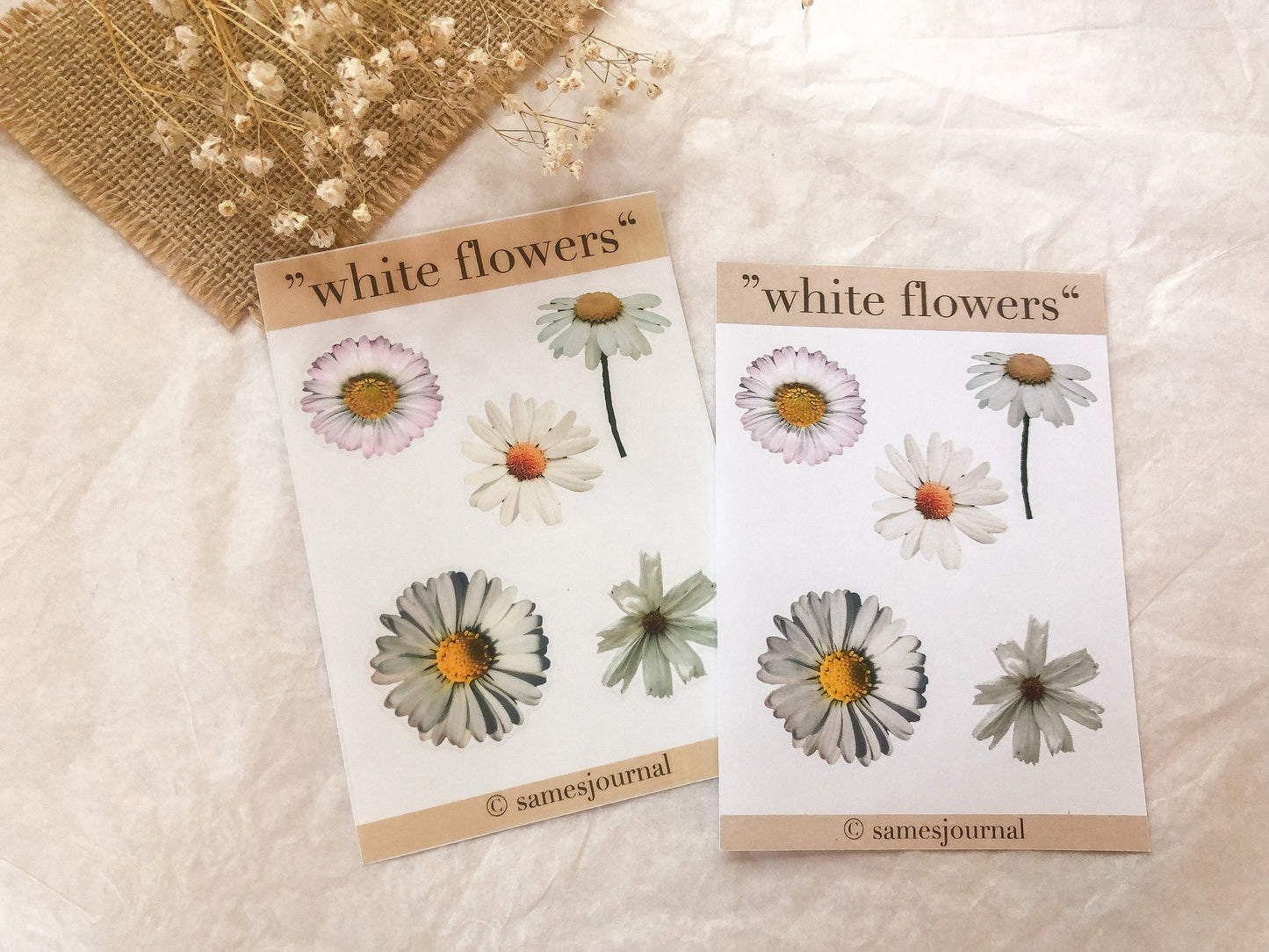 Blumen Sticker, weiß, Gänseblümchen, transparent, Aufkleber, Blumen, Blüten -samesjournal