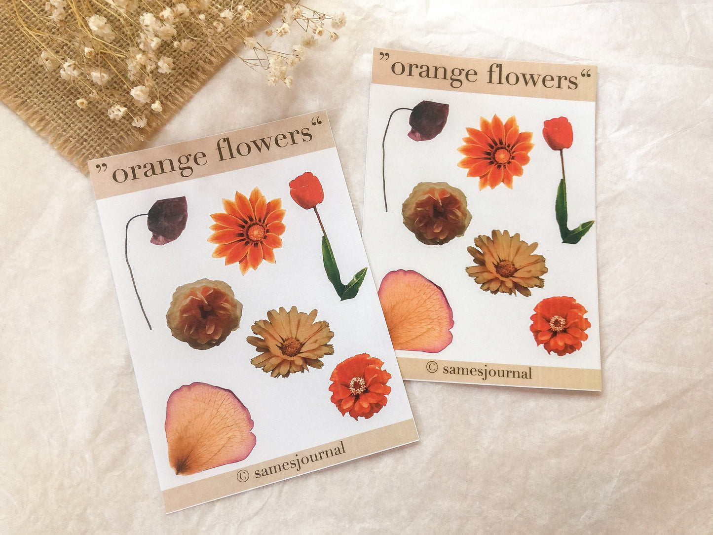 Blumen Sticker, orange, transparent, Aufkleber, Blumen, Blüten -samesjournal