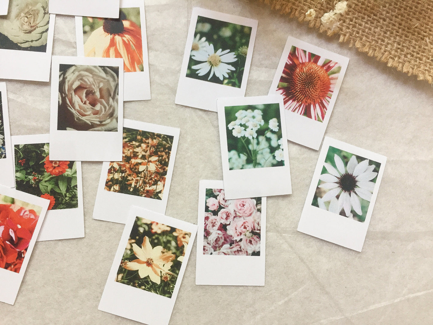 II Foto Sticker Blumen, Aufkleber, Blüten, Sofortbild, samesjournal