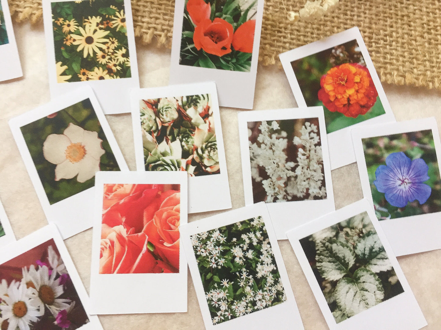 IV Foto Sticker Blumen, Aufkleber, Blüten, Sofortbild, samesjournal