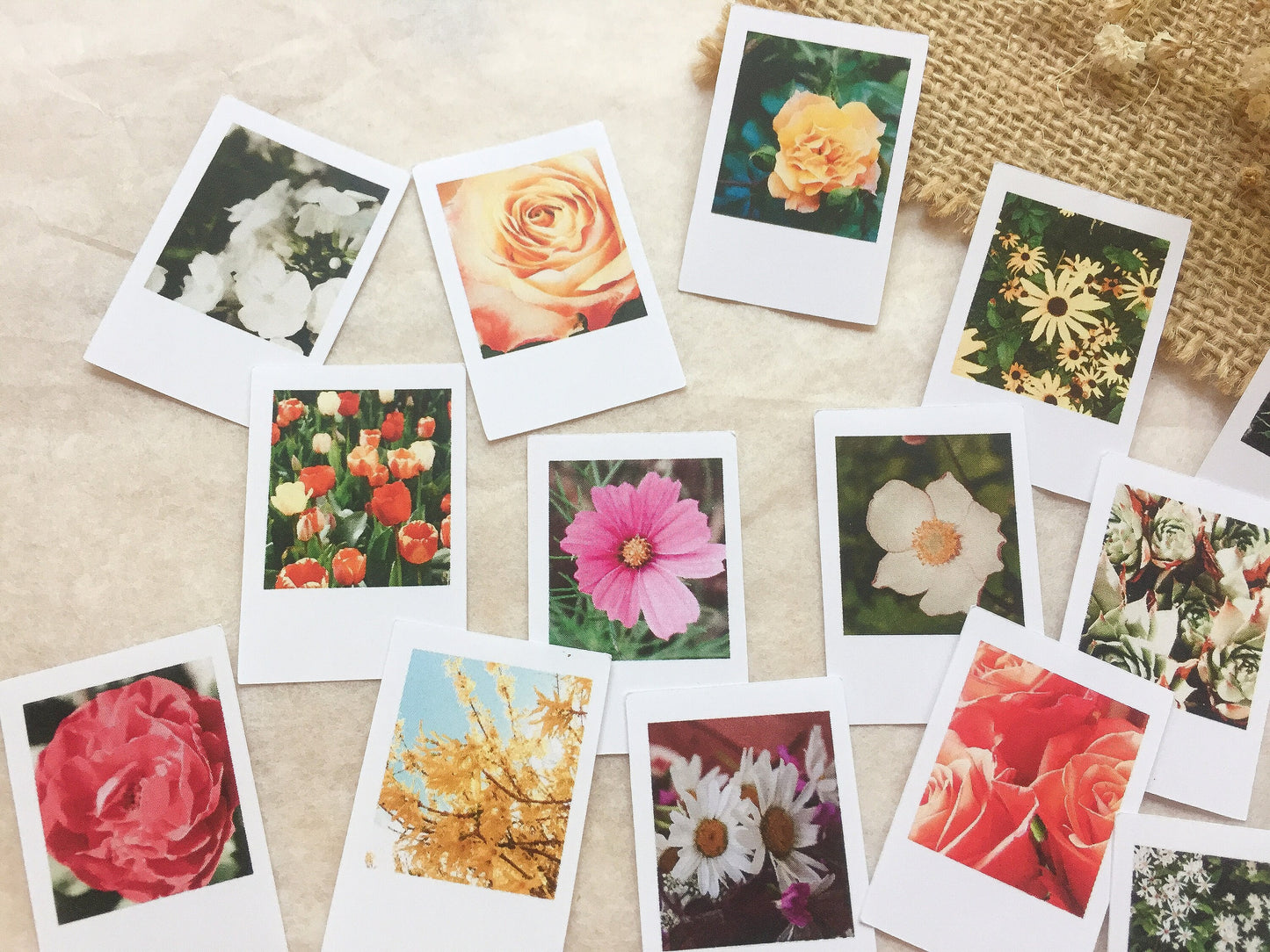 IV Foto Sticker Blumen, Aufkleber, Blüten, Sofortbild, samesjournal