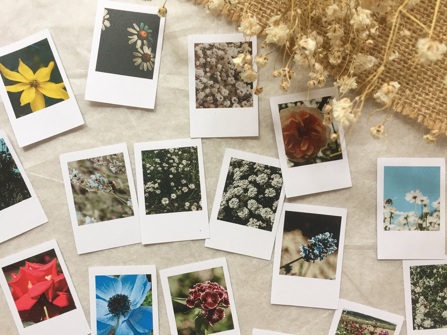 I Foto Sticker Blumen, Aufkleber, Blüten, Sofortbild, samesjournal
