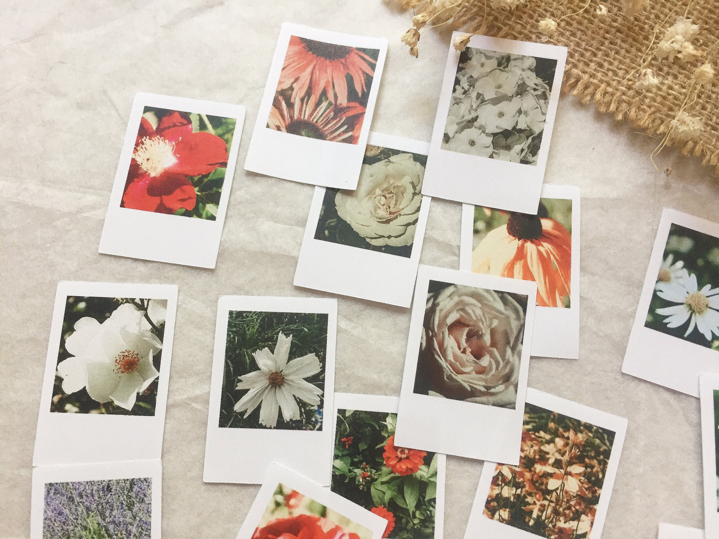 II Foto Sticker Blumen, Aufkleber, Blüten, Sofortbild, samesjournal