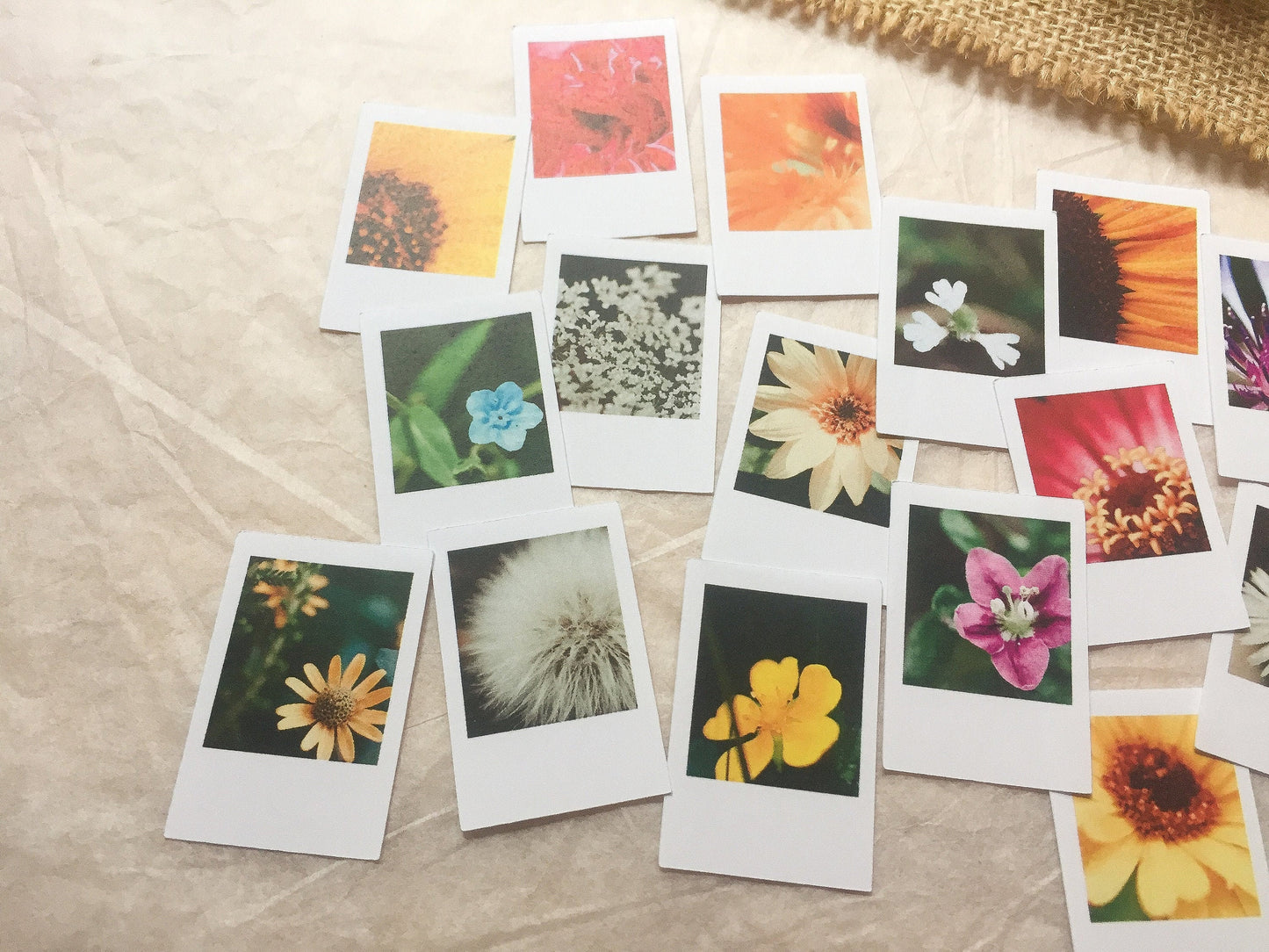 III Foto Sticker Blumen, Aufkleber, Blüten, Sofortbild, samesjournal