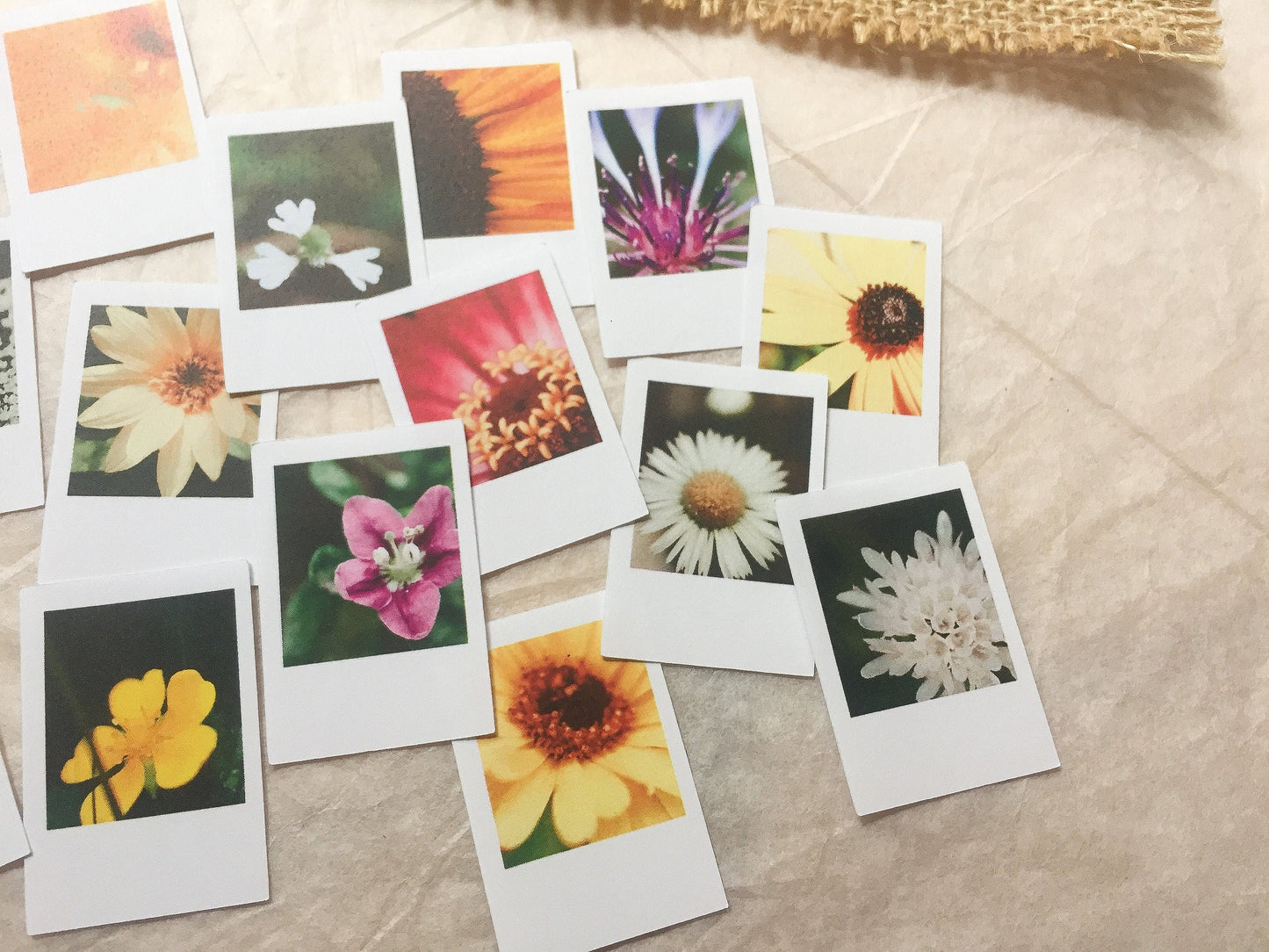 III Foto Sticker Blumen, Aufkleber, Blüten, Sofortbild, samesjournal