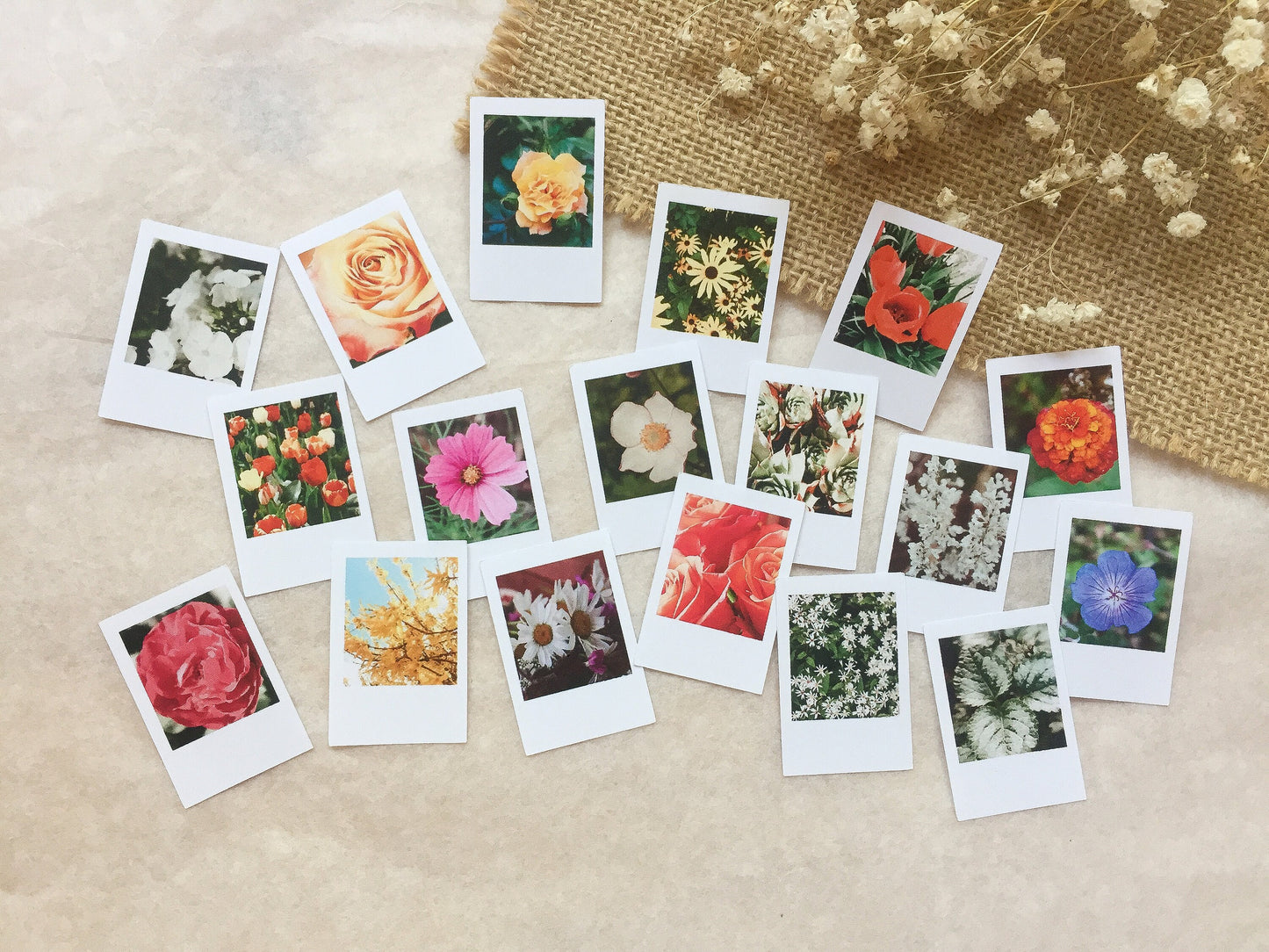 IV Foto Sticker Blumen, Aufkleber, Blüten, Sofortbild, samesjournal