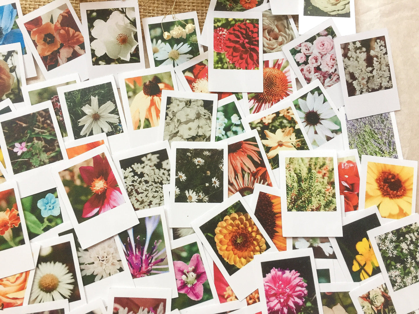 Großes Foto Blumen Sticker Set, Sofortbild - samesjournal