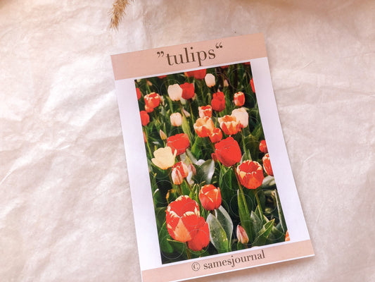 III Frühlingsblume, Fotografie, Kreise, Stickersheet, Sticker, Aufkleber, Tulpen - samesjournal